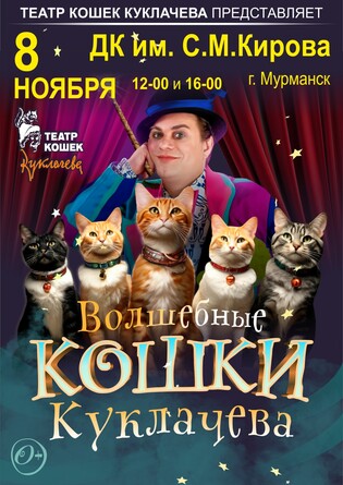Владимир Куклачев Волшебные кошки