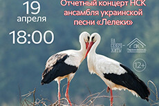 Отчётный концерт НСК ансамбля украинской песни «Лелеки»