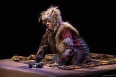 Пёс идёт домой