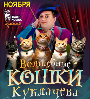 Владимир Куклачев Волшебные кошки (г. Апатиты)