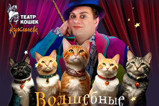 Владимир Куклачев Волшебные кошки (г. Полярные зори)