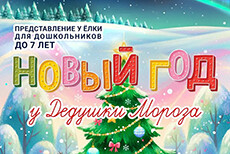 Новый год у Дедушки Мороза