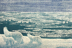 Интерактивное мероприятие «Освоение Арктики»