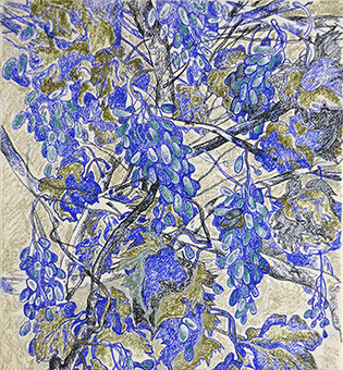 Выставка «Графика Андрея Блиока»