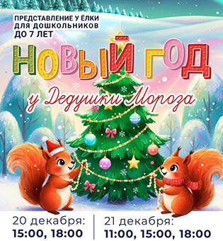 Новый год у Дедушки Мороза