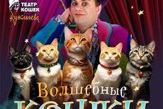 Владимир Куклачев Волшебные кошки (г. Мурманск) 12-00