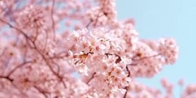 Информационная беседа «Пасхальный благовест»