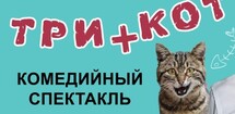 Три плюс кот