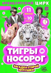 Цирковое приключенческое шоу  «ЗАГАДКА СТАРОЙ ИГРУШКИ»